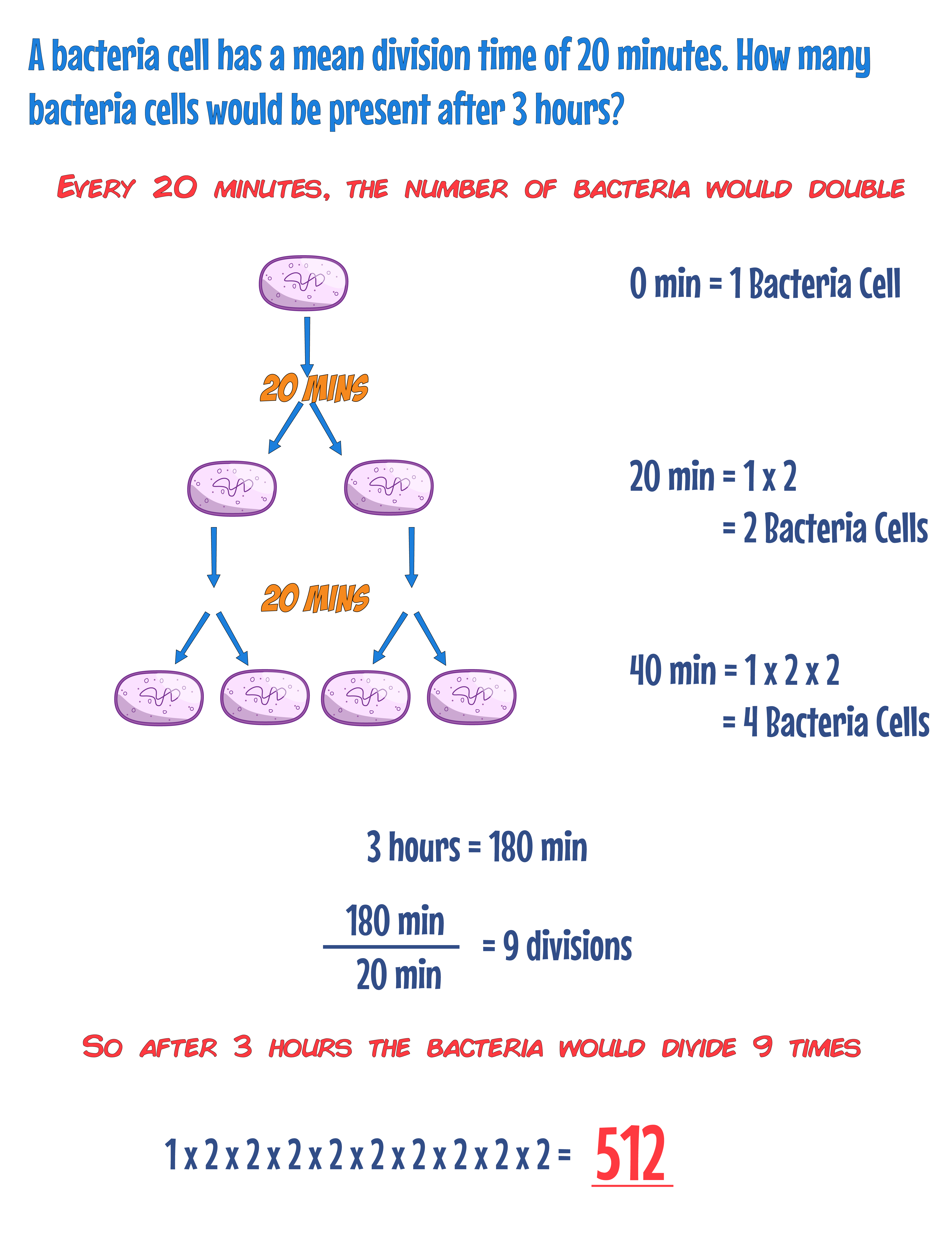 Mean Division Calc